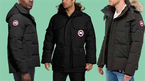 canada goose dupes